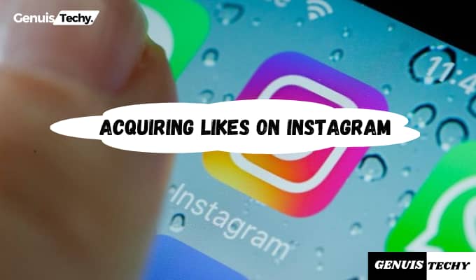 The Essence of Acquiring Likes on Instagram