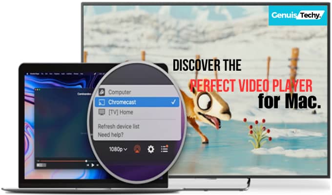 Discover the Perfect Video Player for Mac